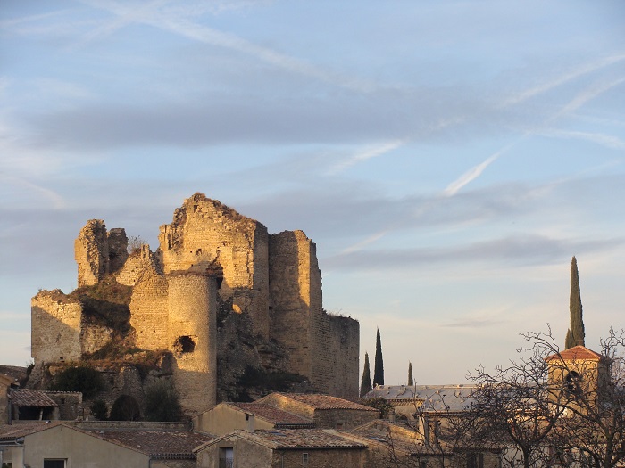 achat vente Ruines de Château Médiéval a vendre  inscrites MH  et 1,95ha de parcelles boisées en bordure de la Drôme Valence  DROME RHONE ALPES