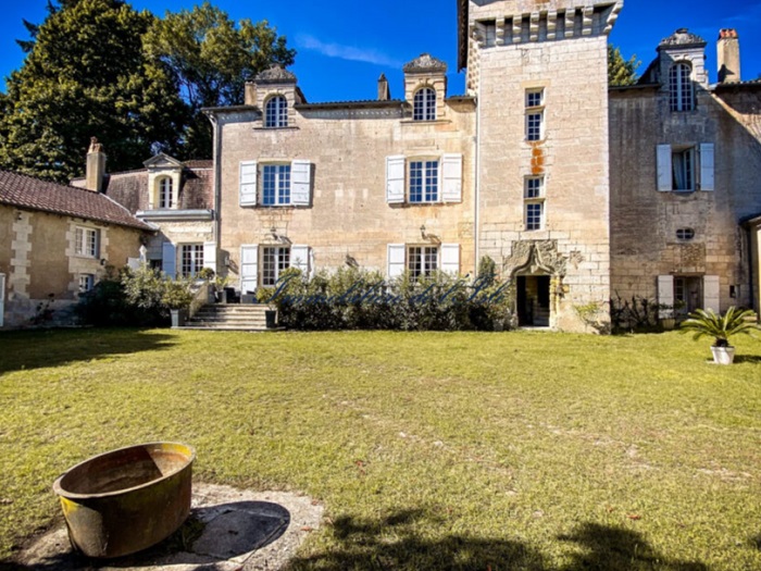 achat vente Château Médiéval a vendre  , dépendances, maisons d'amis Proche Périgueux , au cœur de la nature DORDOGNE AQUITAINE
