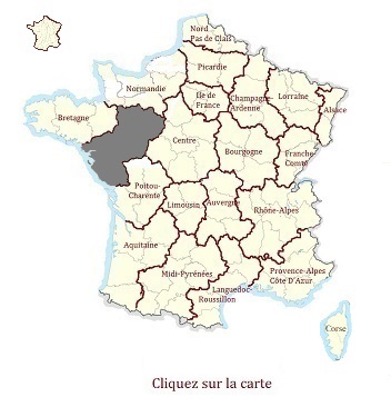Pays-de-la-Loire achat vente Château Médiéval de prestige a vendre