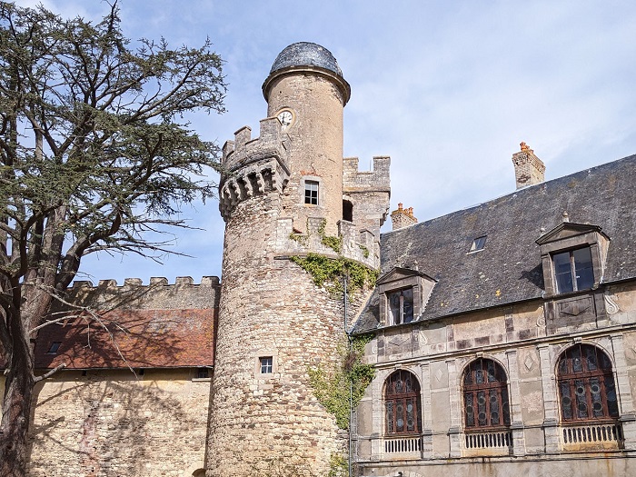 achat vente Légendaire Forteresse Médiévale a vendre   Classée et Inscrite Monument Historique , dépendances Veauce , sur son éperon rocheux ALLIER AUVERGNE