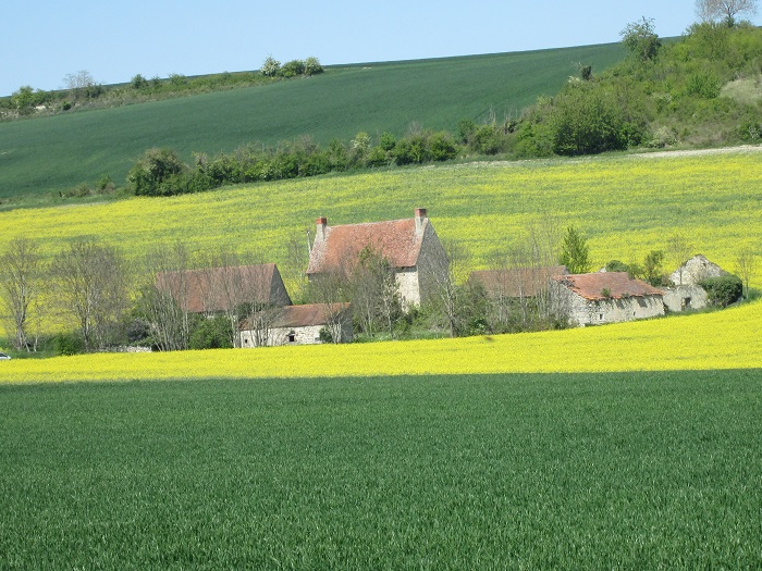 conseils pour restaurer sa demeure historique